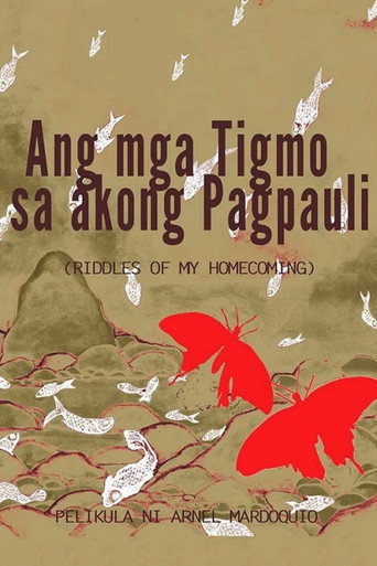 Ang mga Tigmo sa Akong Pagpauli movie poster