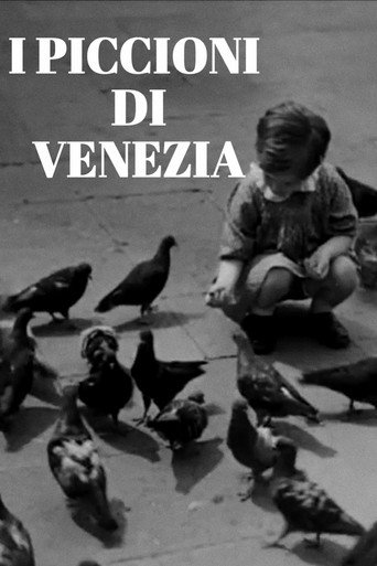 I piccioni di Venezia movie poster