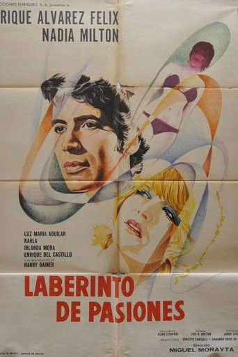 Labyrinth of Passion movie poster