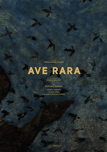 Ave Rara movie poster