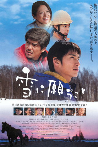 What the Snow Brings movie poster