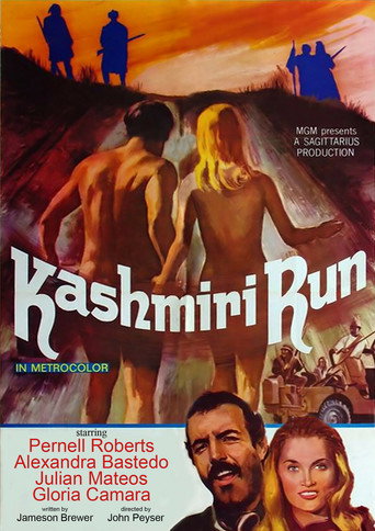 The Kashmiri Run movie poster