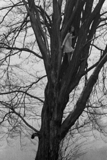 Foundling-Bird movie poster
