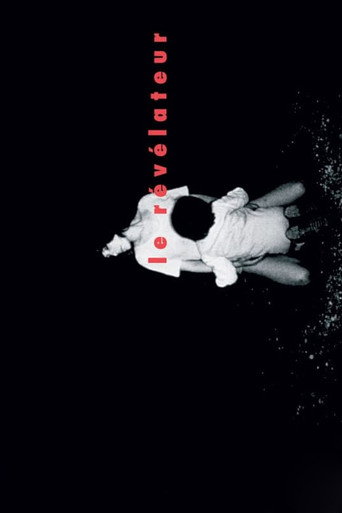 Le Révélateur movie poster