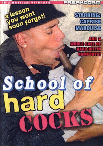 School of Hard Cocks movie poster