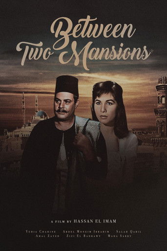 Between Two Mansions movie poster