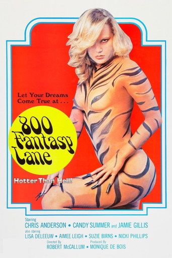 800 Fantasy Lane movie poster
