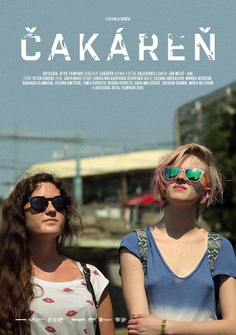 Čakáreň movie poster