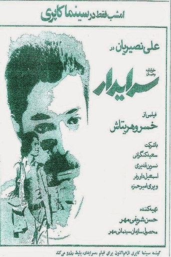 The Custodian movie poster