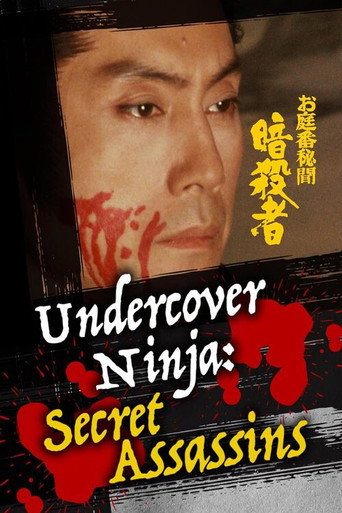 Undercover Ninja: Secret Assassins movie poster
