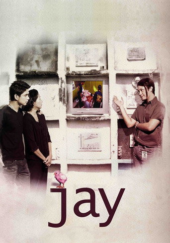 Jay movie poster