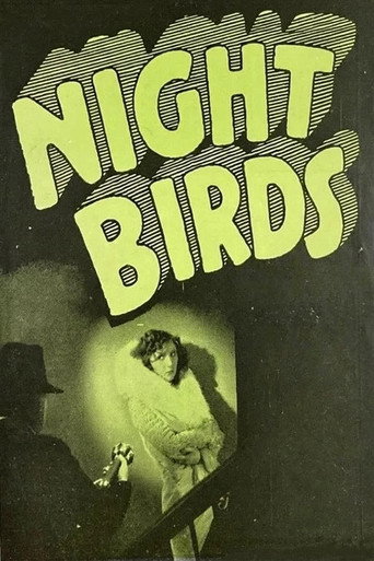 Night Birds movie poster