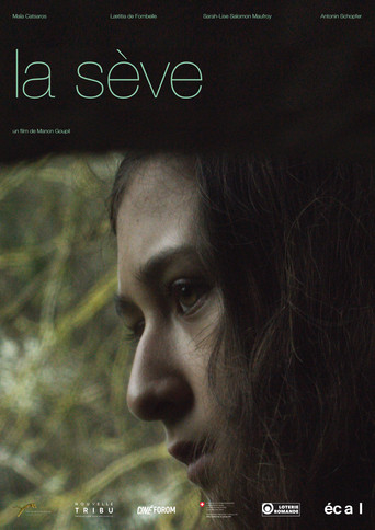 The Sap movie poster