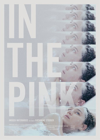 In the Pink movie poster