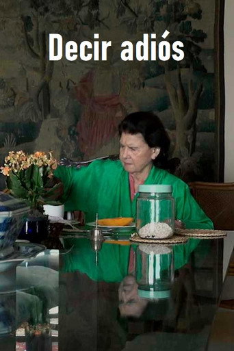 Decir adiós movie poster