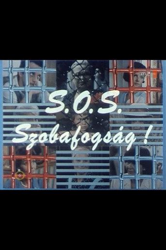 S.O.S. Szobafogság! movie poster
