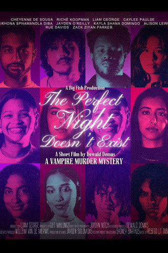 The Perfect Night Doesn't Exist movie poster