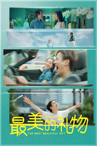 最美的礼物 movie poster