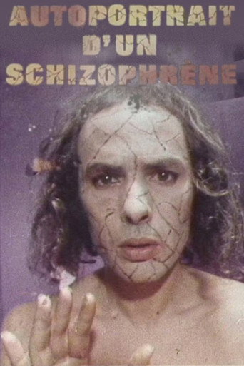 Autoportrait d’un schizophrène movie poster