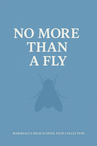 NO MORE THAN A FLY movie poster