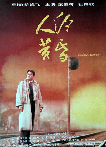 Evening Liaison movie poster