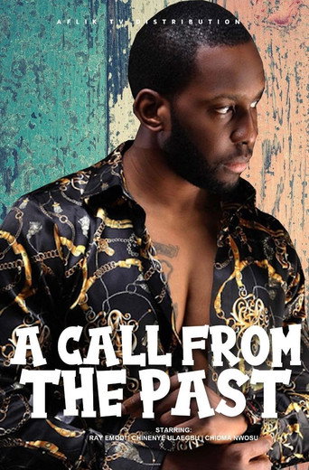 A Call from the Past movie poster