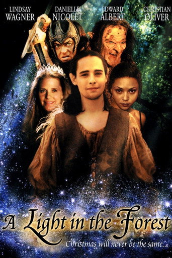 A Light in the Forest movie poster