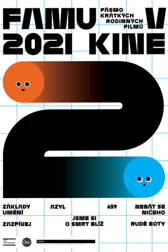 FAMU v kině 02 movie poster