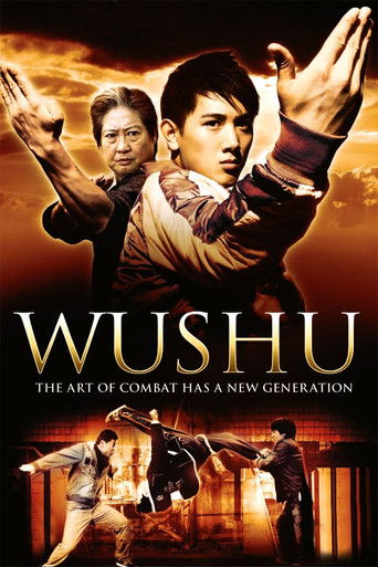 Wushu movie poster