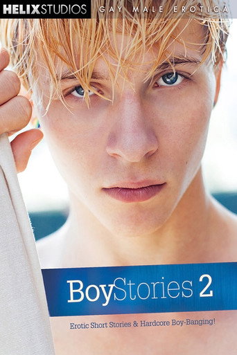 Boy Stories 2 movie poster