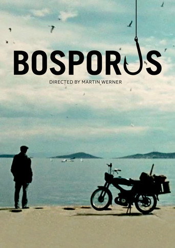 Bosporus movie poster