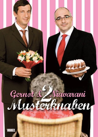 2 Musterknaben movie poster