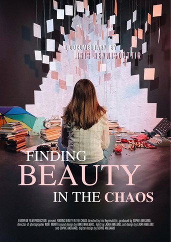 Finding Beauty in The Chaos movie poster