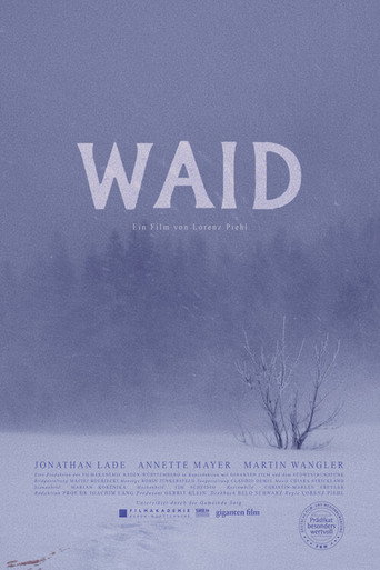 Waid movie poster