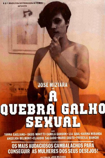A Quebra Galho Sexual movie poster