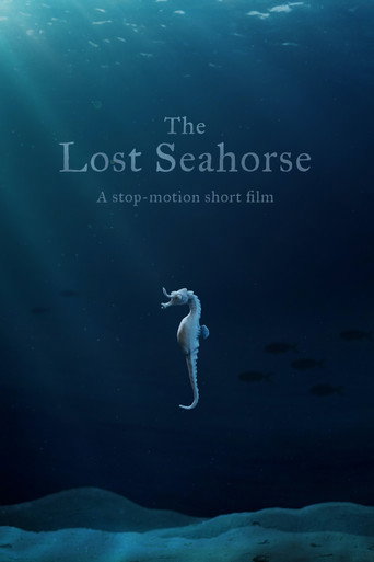 The Lost Seahorse movie poster