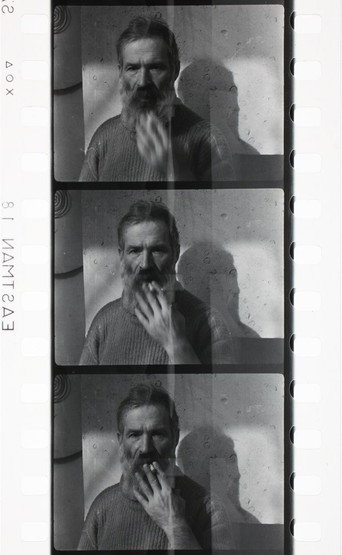 Les films de Brancusi movie poster