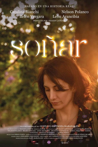 Soñar movie poster