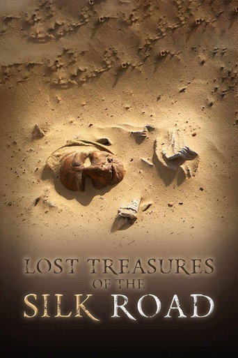 Lost Treasures of the Silk Road movie poster