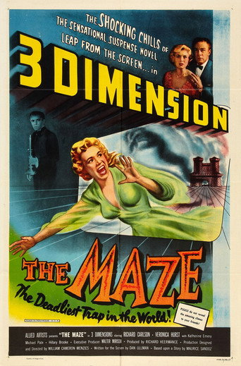 The Maze movie poster