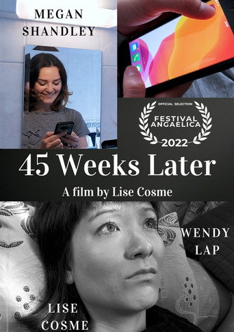 45 Weeks Later movie poster