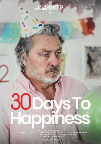 30 Days to Happiness movie poster