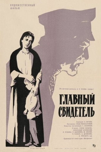 Key Witness movie poster