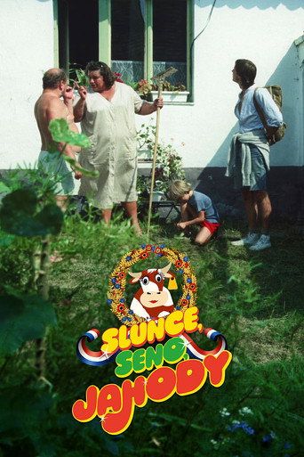 Sun, Hay, Strawberries movie poster