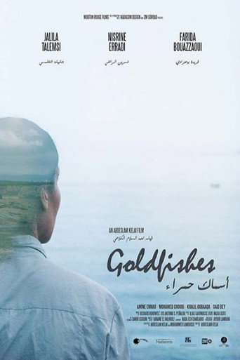 Goldfishes movie poster