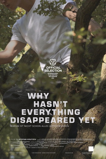 Why Hasn't Everything Disappeared Yet movie poster