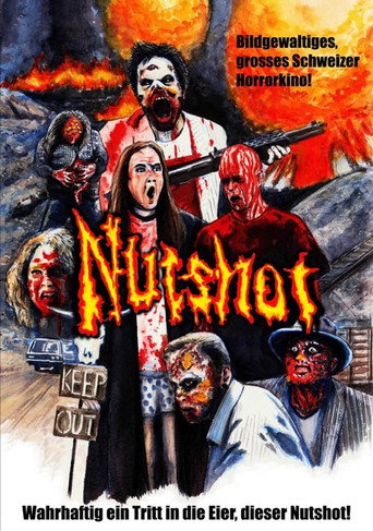 Nutshot movie poster