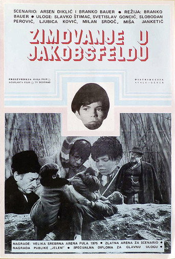 Wintering in Jakobsfeld movie poster