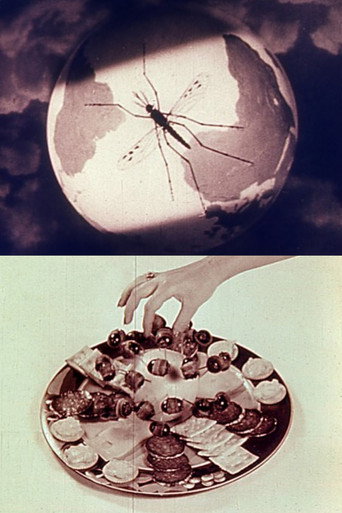 Lotus Wing movie poster