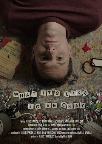 What It’s Like to Be Okay movie poster